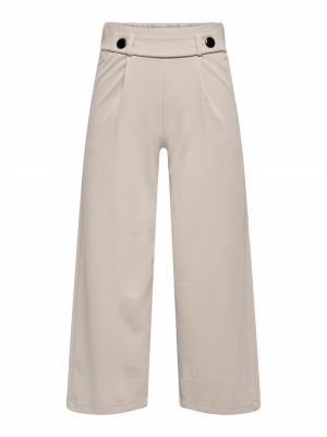 JDYGEGGO NEW ANCLE PANTS JRS N Chateau Gray/BL