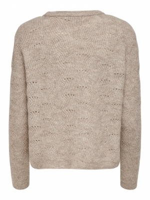 ONLLOLLI L-S PULLOVER KNT NOOS Taupe Gray/W. M