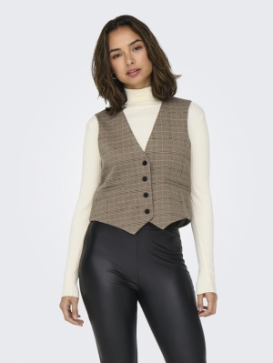 JDYGEGGO MIA WAISTCOAT JRS ATK Walnut/ROSE CHE