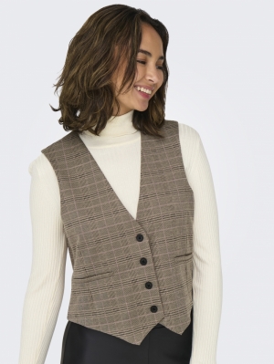 JDYGEGGO MIA WAISTCOAT JRS ATK Walnut/ROSE CHE